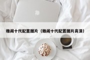 雅阁十代配置图片（雅阁十代配置图片高清）