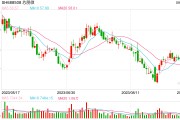 兴全谢治宇、乔迁拿下芯朋微近半定增，坚定加仓半导体