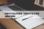 标致307怎么开省油（标致307怎么开省油模式视频）