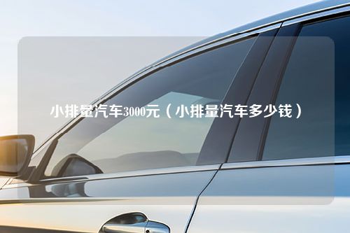 小排量汽车3000元（小排量汽车多少钱）