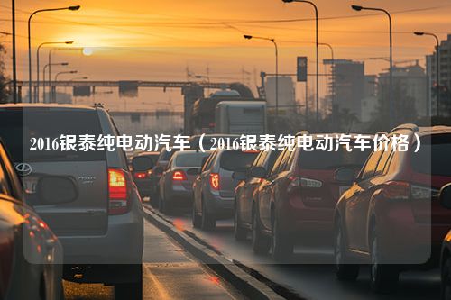 2016银泰纯电动汽车（2016银泰纯电动汽车价格）