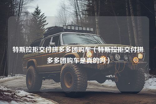 特斯拉拒交付拼多多团购车（特斯拉拒交付拼多多团购车是真的吗）