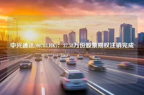 中兴通讯(00763.HK)：37.58万份股票期权注销完成