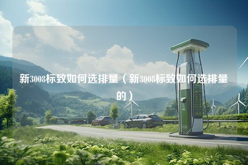 新3008标致如何选排量（新3008标致如何选排量的）