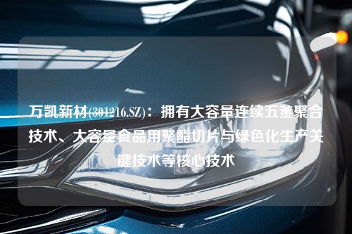 万凯新材(301216.SZ)：拥有大容量连续五釜聚合技术、大容量食品用聚酯切片与绿色化生产关键技术等核心技术