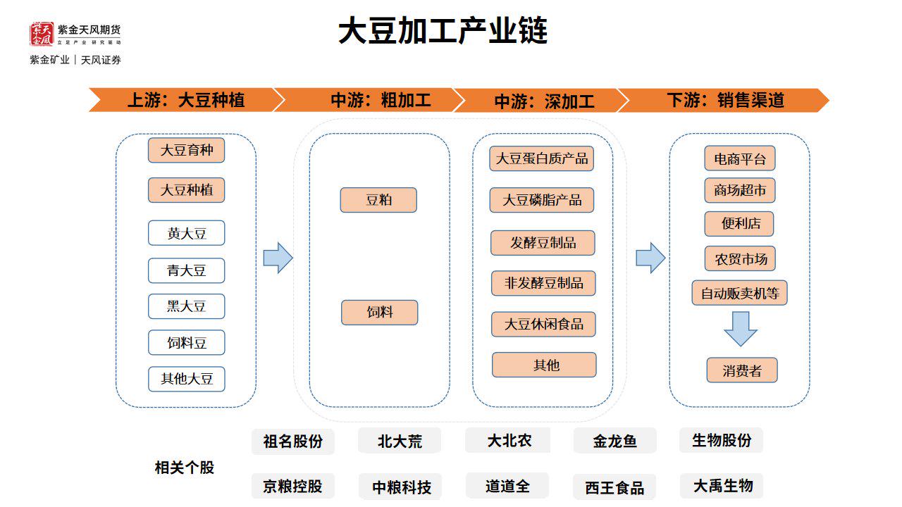 豆粕连续反弹，后续应关注什么？